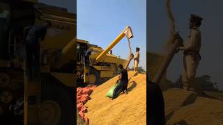 New Holland Combine Harvester combine harvester combineharvester shorts [upl. by Zingale]