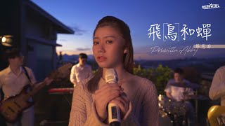 飛鳥和蟬 任然 Cover  蔡恩雨 Priscilla Abby [upl. by Cheffetz]