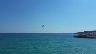 Flyboard Air St Croix Beach 2018 [upl. by Hcurab9]