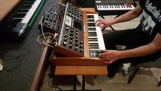 Double Minimoog Marek Biliński  Śpiew Rajskich Ptaków interpretacja [upl. by Nicola]