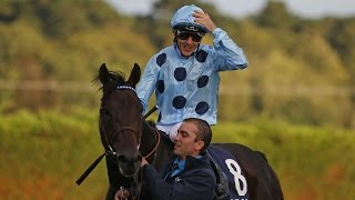 Almanzor  QIPCO Irish Champion Stakes Group 1  2016 [upl. by Acinelav]