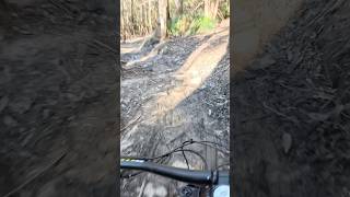 Free Wheel’n trail TAS mtb mountainbike mtbbikes [upl. by Sclar318]