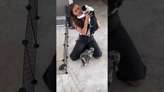 Tejasswi Prakash and Karan Kundra Play With Their Pets tejran shorts [upl. by Inahc967]