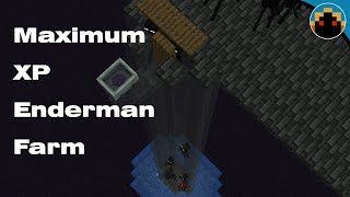 Enderman Farm for 1204  Maximum XP Rates [upl. by Jennine148]