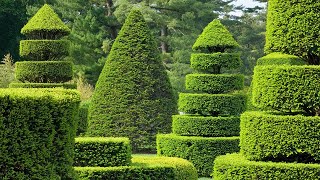 Topiary Garden [upl. by Euqcaj810]