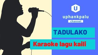 KARAOKE LAGU KAILI Tadulako II The Box Band versi audio [upl. by Dag569]