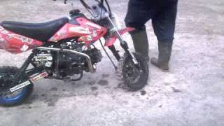 Madness 110cc pit bike [upl. by Acsehcnarf]