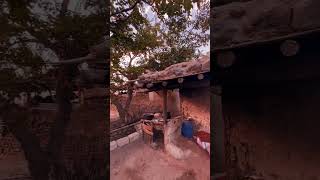 Village life  baltistan  villagelife baltistan viralvideo nature [upl. by Mccomb155]