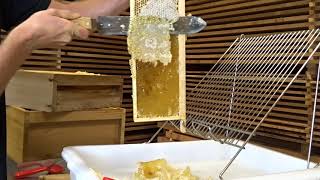 Beekeeping Guide How To Uncap A Frame Of Honey [upl. by Anibor612]