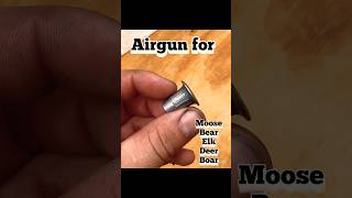 Bintac MCAR 388gr Zan Hollow Point Gel Test airgun bintac mcar aea sniper [upl. by Arahsak]