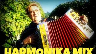 HARMONIKA MIX and REMIX Shomi DJ [upl. by Currier776]