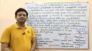 Antitubercular Drug Part03 Isoniazid  Mechanism of Action of Isoniazid  Isoniazid  Anti TB [upl. by Zabrina]