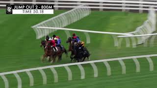 Flemington Jump Outs 20 Sep 2024 Jump Out 2 [upl. by Annayram]