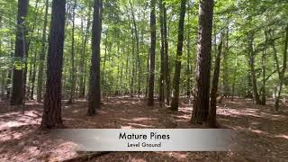 20983 Acres of Residential Recreational and Timber Land For Sale in Isle of Wight County VA [upl. by Norret]