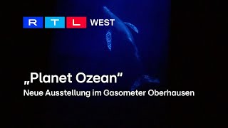 Neue Ausstellung im Gasometer Oberhausen entführt ins Meer  RTL WEST 14032024 [upl. by Enilreug]