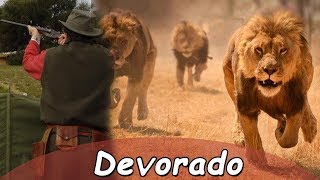 Cazador es devorado por leones  Historias felinas  40 [upl. by Daria]