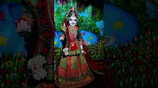 ♥️Radhe krishna ♥️ radheshayamradheradhesong shortsvideo [upl. by Lovash57]