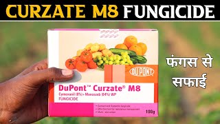 Curzate M8 Fungicide  DuPont Curzate fungicide use in hindi [upl. by Atsahc]