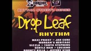 Drop Leaf Riddim Mix 2005  DJ Smilee [upl. by Genesa]