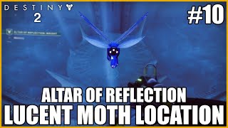 Lucent Moth Location  Altar Of Reflection Destiny 2 [upl. by Ediva]