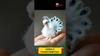 Animal before and after growing up trending animals funnyanimals animaltransformation [upl. by Firmin]