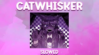 CATWHISKER SLOWED DEEPWOKEN [upl. by Ute]