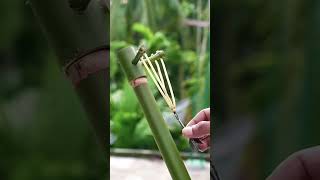 satisfying bamboo respect [upl. by Adnwahsat]