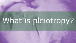 What is Pleiotropy [upl. by Yrelbmik]