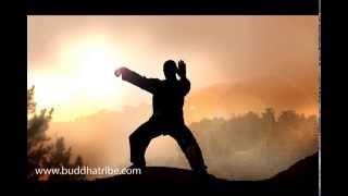 Qi Gong Music Sounds Relaxing Tai Chi Music and QiGong Meditation Nature Music [upl. by Enytsirhc177]