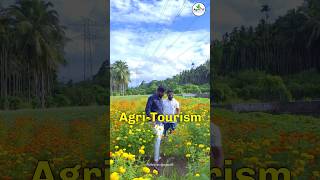 AgriTourism in Kerala ⛵️👨‍🌾 thanimafarmlife shorts agribusiness farming travel [upl. by Thurber]