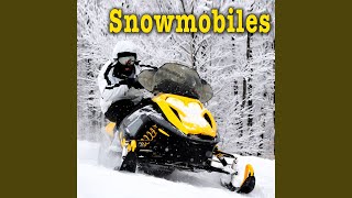 Polaris 440 Snowmobile Pulls up to Side a ta Fast Speed [upl. by Arehahs897]