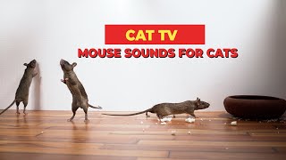 Mouse Sounds Compilation for Cats🐀 CAT TV 🐈 Mouse Sounds to Attract Cats 3 Hours [upl. by Etac772]