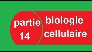 cours biologie cellulaire partie 14 Maturation des ARNm  البيولوجيا بالدارجة [upl. by Bohlen]