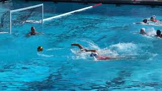 Q1 Los Alamitos vs MD 090923  waterpolotough waterpolo usa sports [upl. by Asalocin]