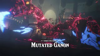 Terrako vs Mutated Ganon  Age of Calamity DLC Wave 2 [upl. by Frans50]