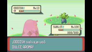 POKEMON EMERALD  SWALOT  AYUDA  ASSIST [upl. by Yelrehs]