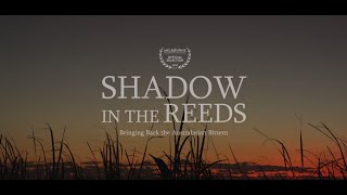 Shadow in the Reeds 2023 [upl. by Nissy152]