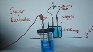 Solution Electrolysis Copper II Sulfate using copper electrodes [upl. by Howlond444]