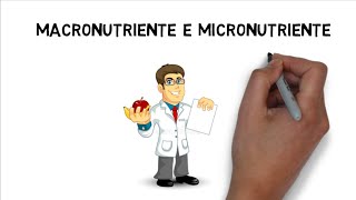 ✅Macronutriente e Micronutriente [upl. by Ylrebmic]