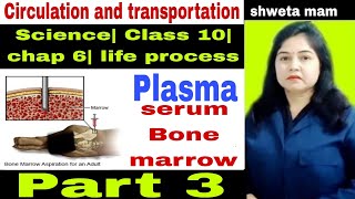 PlasmaserumBone marrowLife processcirculation n transportationclass 10 science chap 6 ytvideo [upl. by Ahsac]