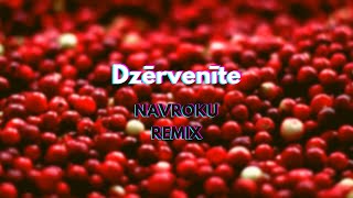 Dzērvenīte NAVROKU Remix [upl. by Eivod733]