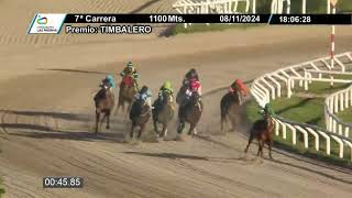 08112024 – Hipodromo Las Piedras – Carr 7 – TIMBALERO [upl. by Viglione]