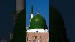 Ay zeher ke Baba Sune Iltija Madin mashallah shortvideo islamicvideos trending [upl. by Anaer]