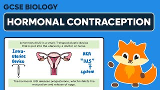 Hormonal Contraception  GCSE Biology [upl. by Brynna]