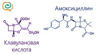 Побыстрому о лекарствах Амоксициллин и клавулановая кислота [upl. by Englebert]