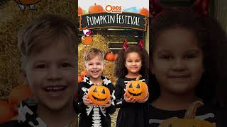 Odds Farm Park Pumpkin Festival this October [upl. by Margarete]