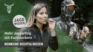 Reinecke richtig reizen Lockjagd mit Fuchslockern  Jagdtipps aus der Praxis [upl. by Auqinet]