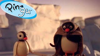 Pingus Favorite Time of the Year 🐧  Pingu  Official Channel  Cartoons For Kids [upl. by Sion553]