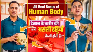 FullVideoAll Real Bones of Human Body  इंसान के शरीर की सभी असली हड्डियाँ कैसी होती हैं viral [upl. by Niawd]