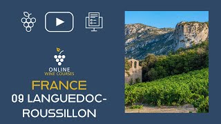 09 LanguedocRoussillon  France🍇Online Wine Courses ➡️ with QUIZ [upl. by Mureil]